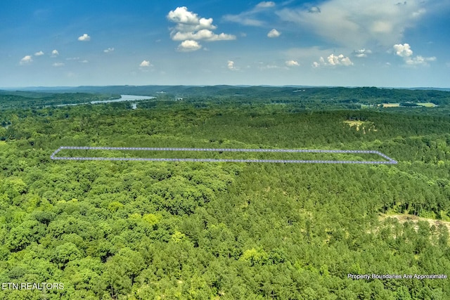 3491 Armstrong Ferry Rd, Decatur, TN 37322 - photo 14
