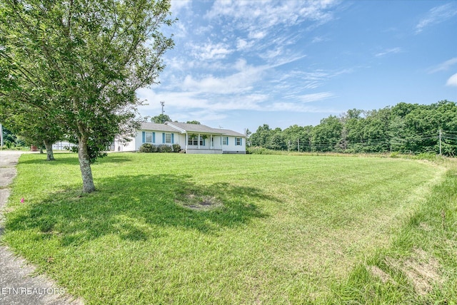 2019 Martha Washington Rd, Clarkrange, TN 38553 - view of green lawn