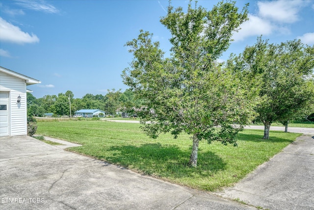 2019 Martha Washington Rd, Clarkrange, TN 38553 - view of green lawn