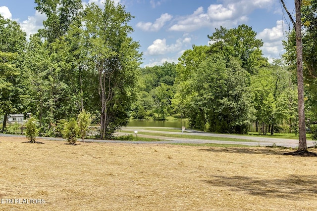 181 Lakeshore Ln, Decatur, TN 37322 - view of property's community with a water view