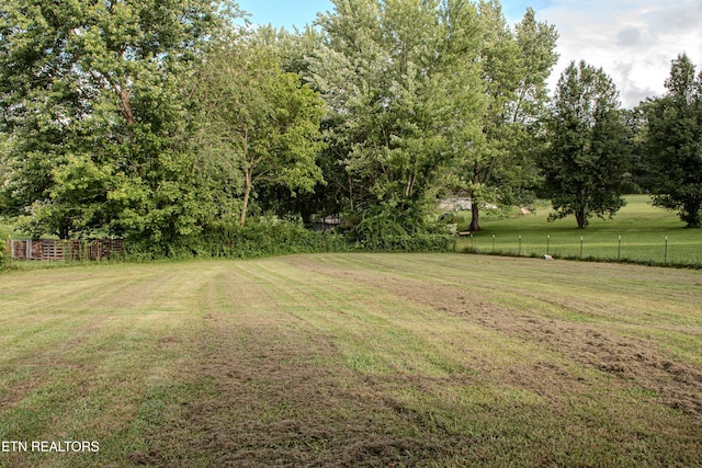 1010 Sheppard Rd, Jamestown, TN 38556 - photo 8