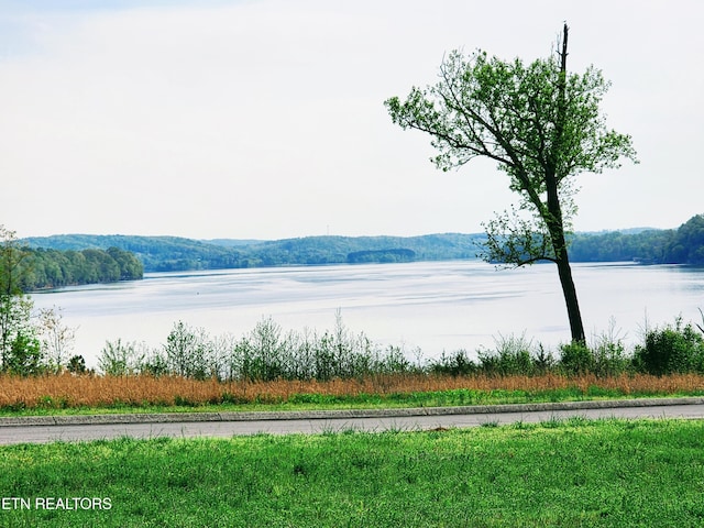 134 Docks Of The Bay Dr, Harriman, TN 37748 - photo 2