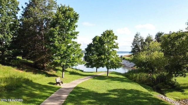 134 Docks Of The Bay Dr, Harriman, TN 37748 - photo 11