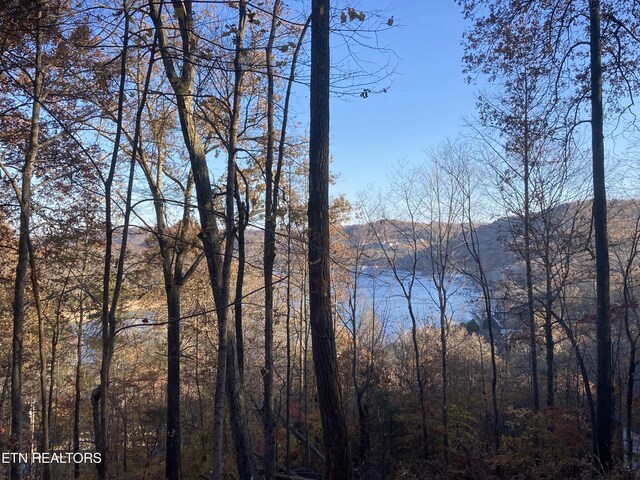 Park Ln, Andersonville, TN 37705 - photo 6