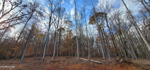 Park Ln, Andersonville, TN 37705 - photo 7
