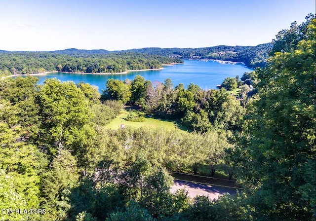 Park Ln, Andersonville, TN 37705 - photo 4