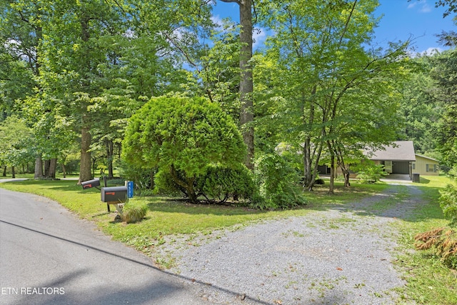 4533 E Scenic Dr, Gatlinburg, TN 37738 - photo 31