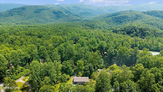 4533 E Scenic Dr, Gatlinburg, TN 37738 - photo 33