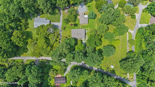 4533 E Scenic Dr, Gatlinburg, TN 37738 - photo 36