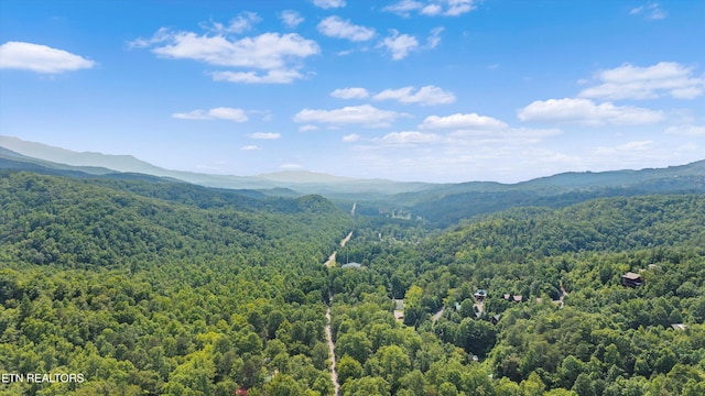 4533 E Scenic Dr, Gatlinburg, TN 37738 - photo 2