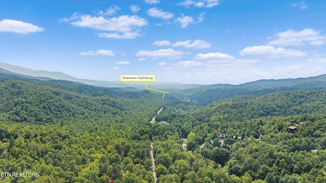 4533 E Scenic Dr, Gatlinburg, TN 37738 - photo 28