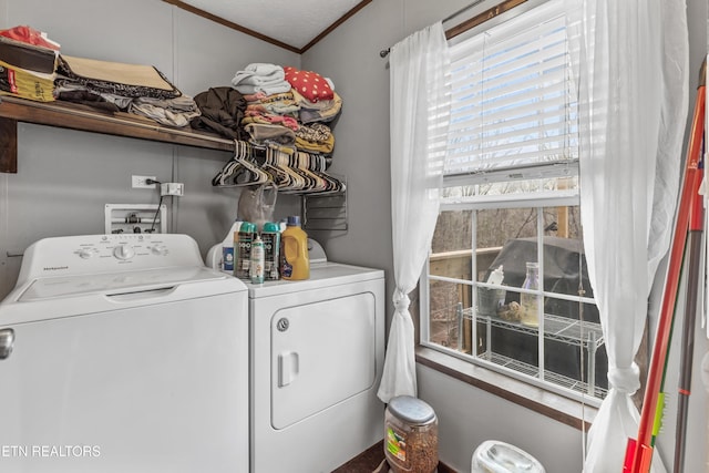 1005 Freda Ln, Friendsville, TN 37737 - photo 19