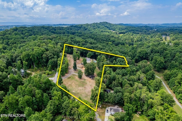 1005 Freda Ln, Friendsville, TN 37737 - photo 6