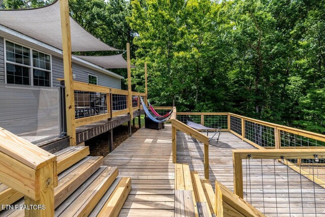1005 Freda Ln, Friendsville, TN 37737 - photo 8