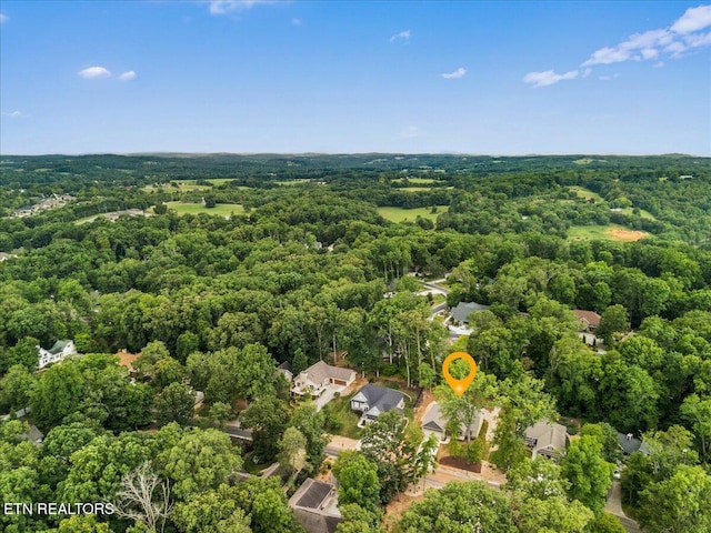111 Oostanali Way, Loudon, TN 37774 - photo 38