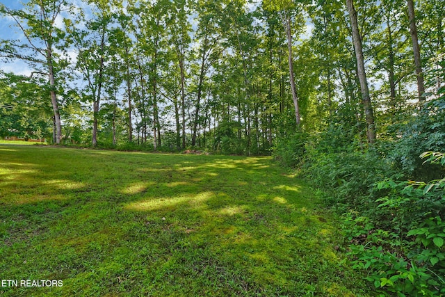 2296 Memory Garden Rd, Jamestown, TN 38556 - view of green lawn
