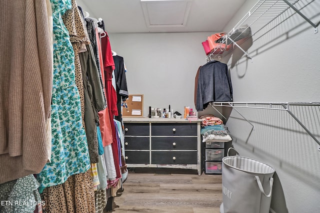 2296 Memory Garden Rd, Jamestown, TN 38556 - walk in closet with wood finished floors and attic access