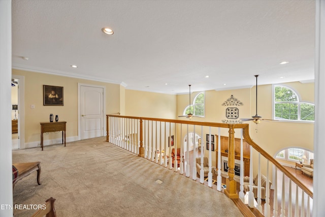 132 David Rd, Clinton, TN 37716 - photo 33