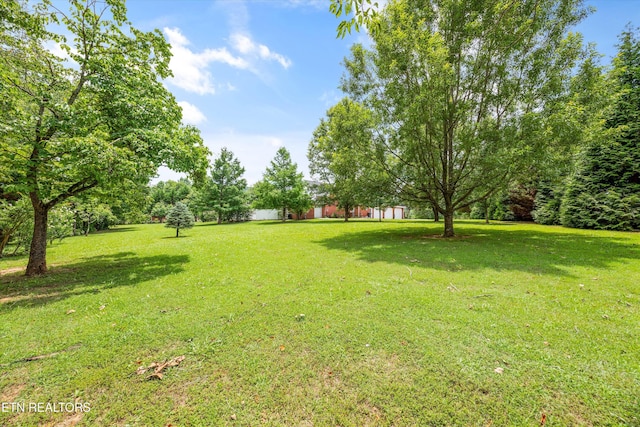 132 David Rd, Clinton, TN 37716 - photo 41