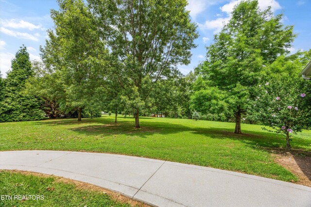 132 David Rd, Clinton, TN 37716 - photo 42