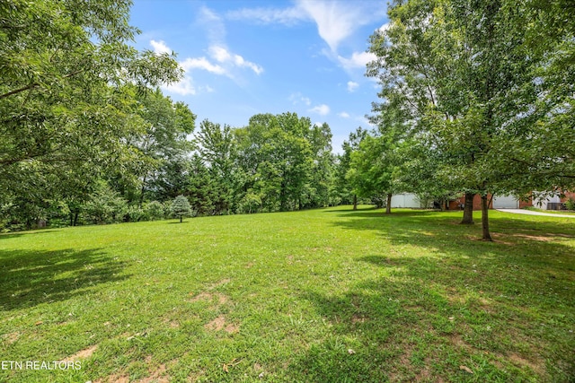 132 David Rd, Clinton, TN 37716 - photo 49