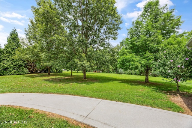 132 David Rd, Clinton, TN 37716 - photo 51