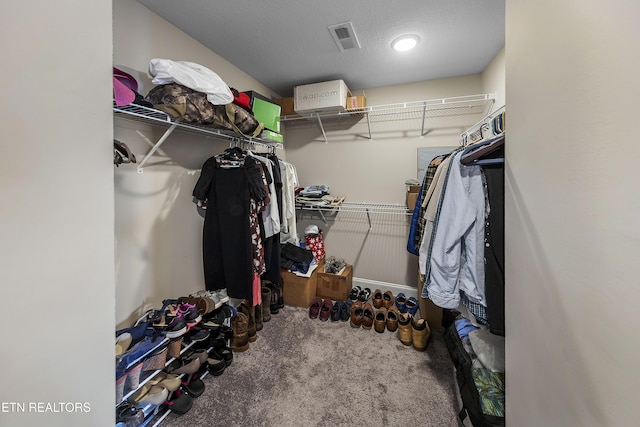 107 Cedarberry St, Oak Ridge, TN 37830 - spacious closet with carpet floors