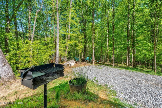 3721 Clabo Mountain Ln, Sevierville, TN 37862 - view of yard with a view of trees