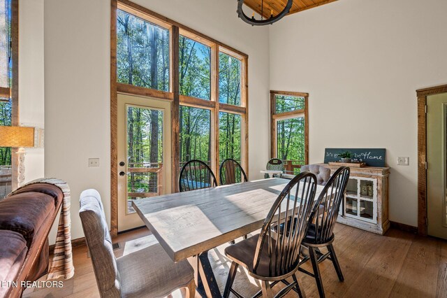 3721 Clabo Mountain Ln, Sevierville, TN 37862 - dining space featuring a high ceiling, healthy amount of natural light, and wood-type flooring