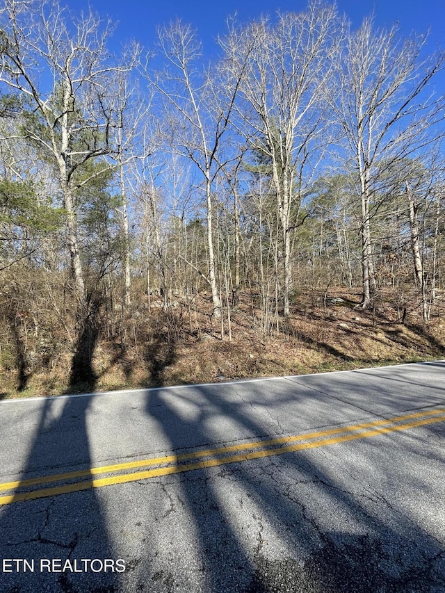 Waterview Dr, Crossville, TN 38555 - photo 1