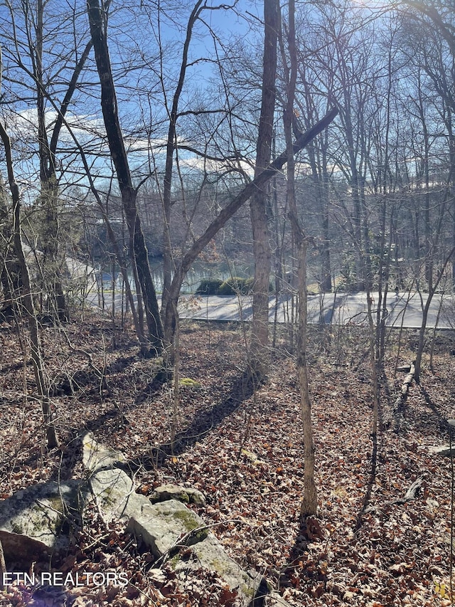 Waterview Dr, Crossville, TN 38555 - photo 2