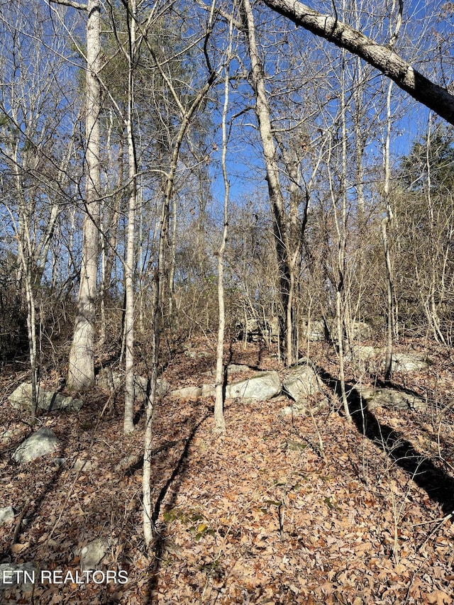 Waterview Dr, Crossville, TN 38555 - photo 3