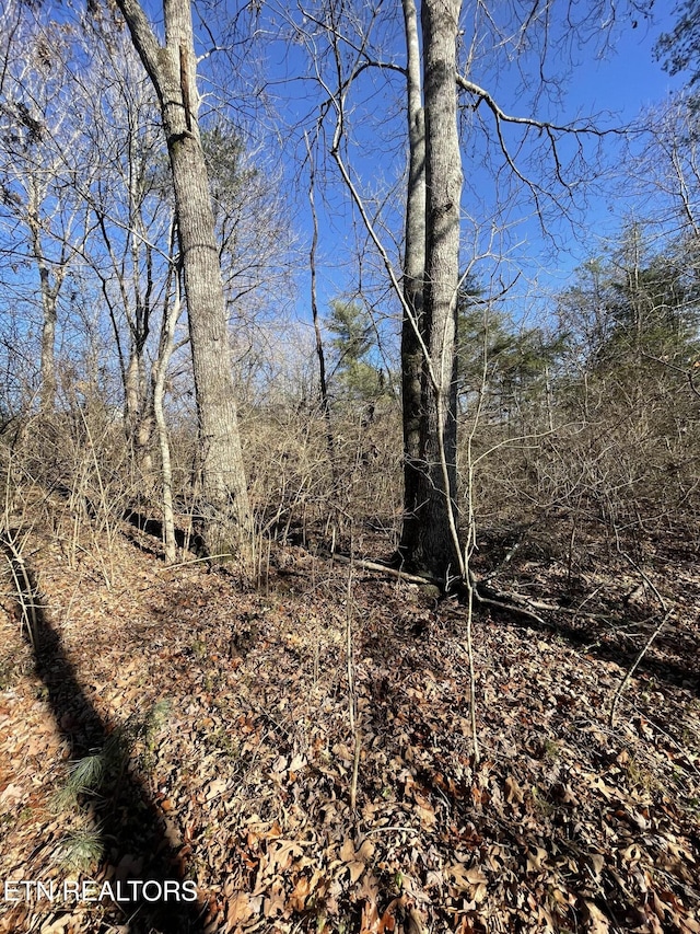 Waterview Dr, Crossville, TN 38555 - photo 4