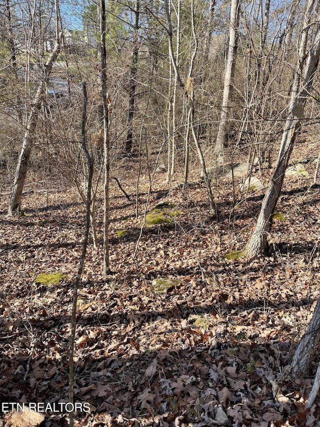 Waterview Dr, Crossville, TN 38555 - photo 7