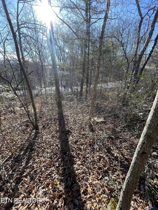 Waterview Dr, Crossville, TN 38555 - photo 8