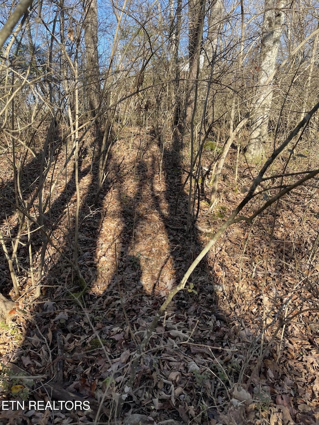 Waterview Dr, Crossville, TN 38555 - photo 9