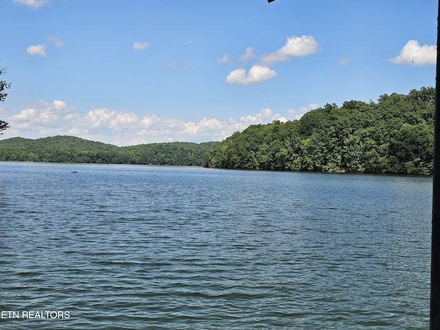 625 Winton Chapel Rd, Rockwood, TN 37854 - photo 3
