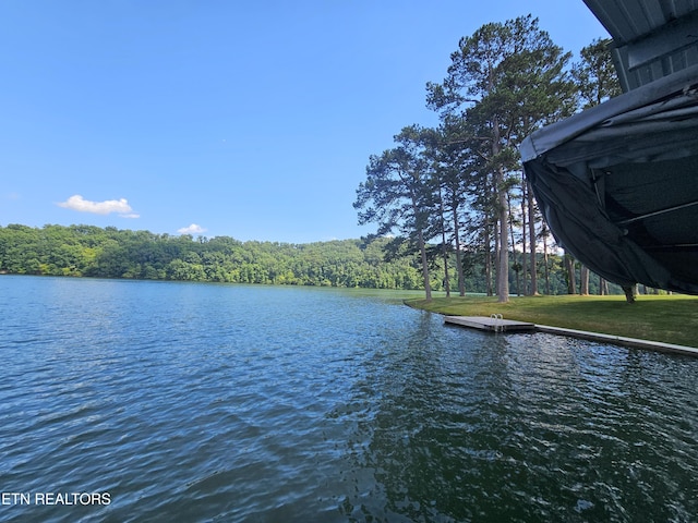 625 Winton Chapel Rd, Rockwood, TN 37854 - photo 4