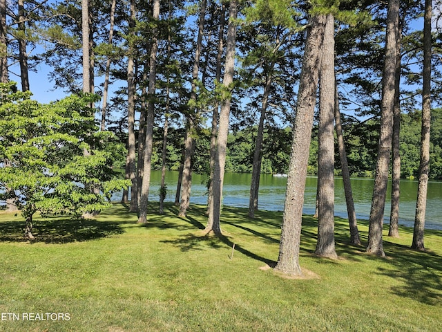 625 Winton Chapel Rd, Rockwood, TN 37854 - photo 49