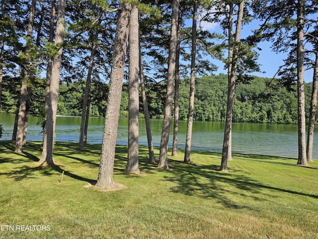 625 Winton Chapel Rd, Rockwood, TN 37854 - photo 50