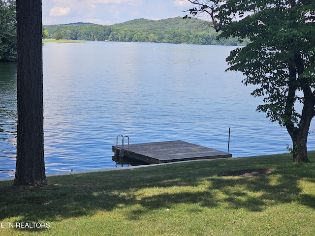 625 Winton Chapel Rd, Rockwood, TN 37854 - photo 9