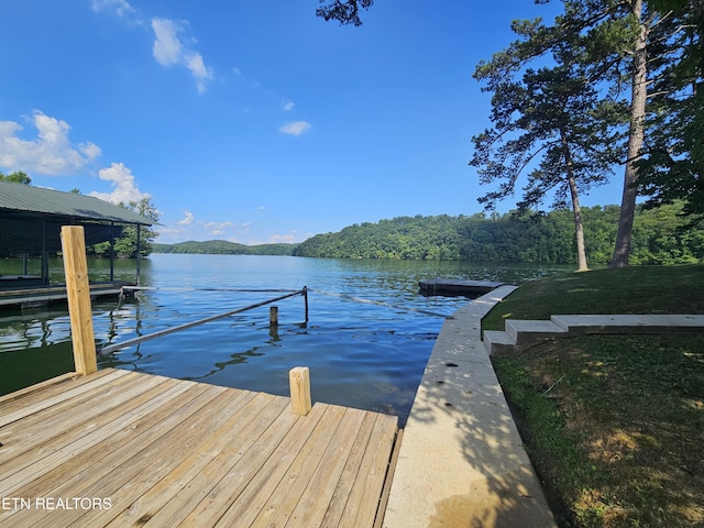 625 Winton Chapel Rd, Rockwood, TN 37854 - photo 44