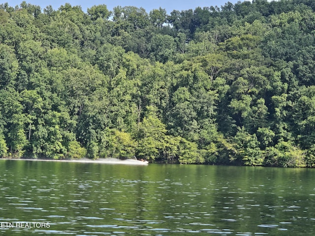 625 Winton Chapel Rd, Rockwood, TN 37854 - photo 48