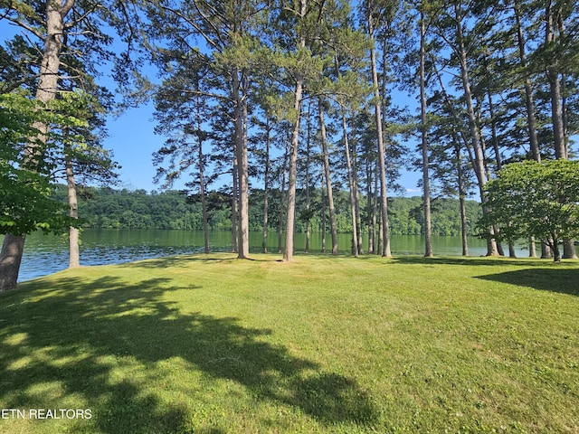625 Winton Chapel Rd, Rockwood, TN 37854 - photo 52