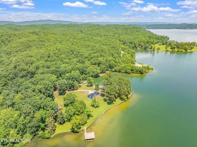 625 Winton Chapel Rd, Rockwood, TN 37854 - photo 53