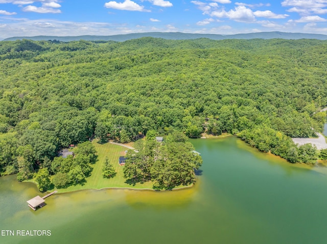 625 Winton Chapel Rd, Rockwood, TN 37854 - photo 54