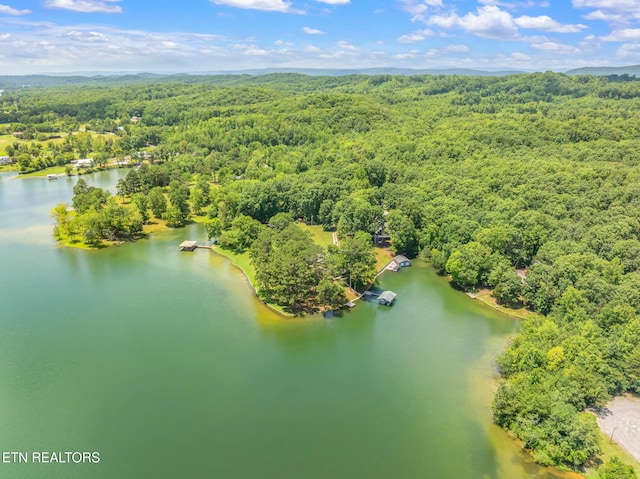 625 Winton Chapel Rd, Rockwood, TN 37854 - photo 55
