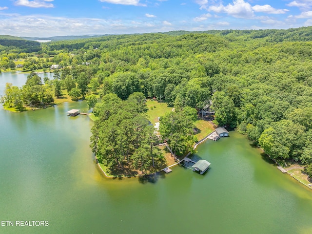 625 Winton Chapel Rd, Rockwood, TN 37854 - photo 57