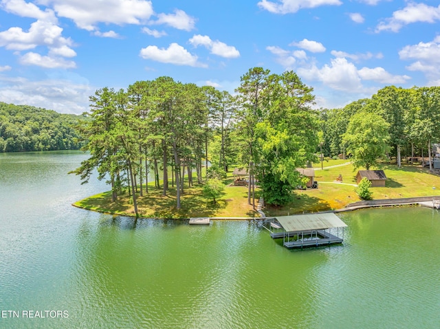 625 Winton Chapel Rd, Rockwood, TN 37854 - photo 1