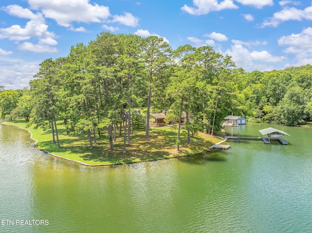 625 Winton Chapel Rd, Rockwood, TN 37854 - photo 59